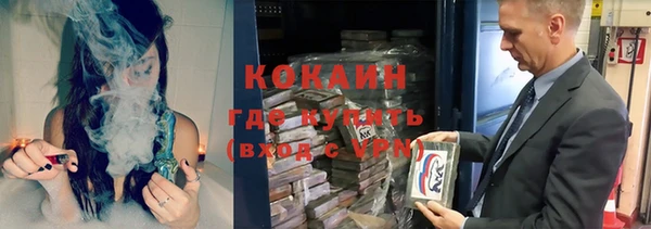 крисы Каменногорск