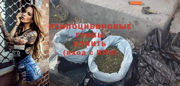 крисы Каменногорск