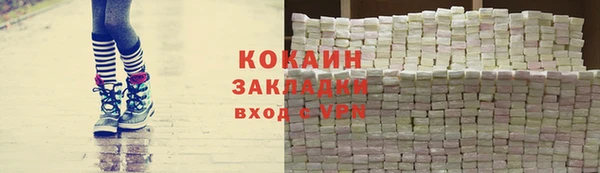 крисы Каменногорск