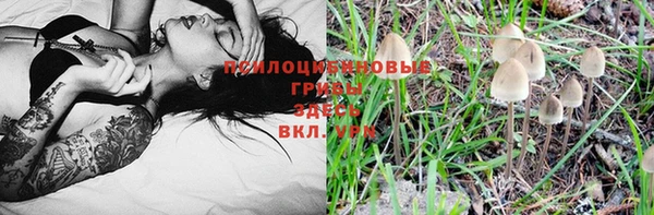 ПСИЛОЦИБИНОВЫЕ ГРИБЫ Каменск-Шахтинский