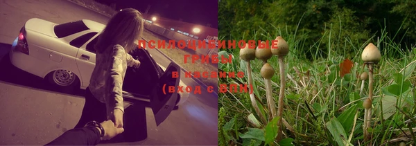 ПСИЛОЦИБИНОВЫЕ ГРИБЫ Каменск-Шахтинский