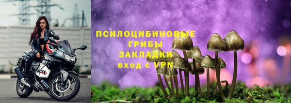крисы Каменногорск