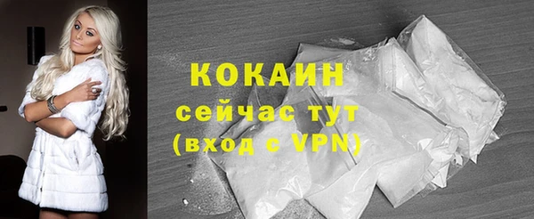 крисы Каменногорск